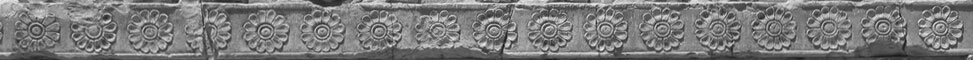 persepolis_flower_grayscale